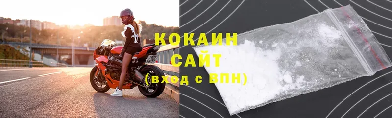 купить наркотики сайты  Саранск  COCAIN Fish Scale 